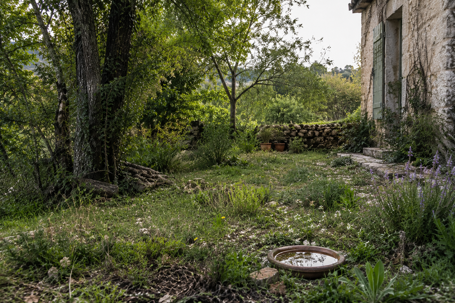 Faune sauvage et jardin : créer un écosystème accueillant sur sa propriété